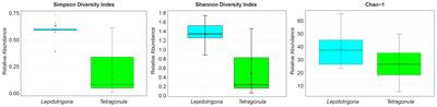 Distinct fungal microbiomes of two Thai commercial stingless bee species, Lepidotrigona terminata and Tetragonula pagdeni suggest a possible niche separation in a shared habitat
